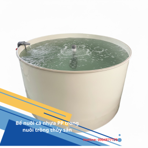 Bể nuôi cá nhựa PP trong nuôi trồng thủy sản – Giải pháp bền vững cho mô hình nuôi hiện đại