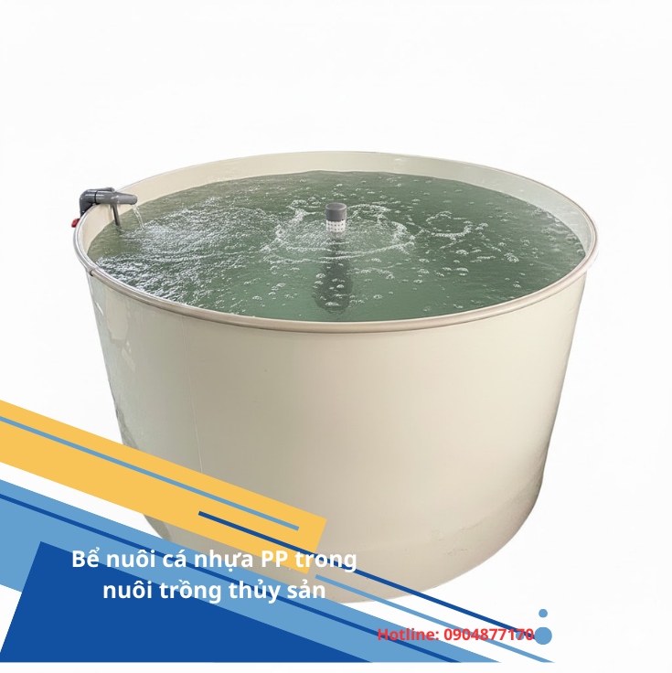 Bể nuôi cá nhựa PP trong nuôi trồng thủy sản – Giải pháp bền vững cho mô hình nuôi hiện đại