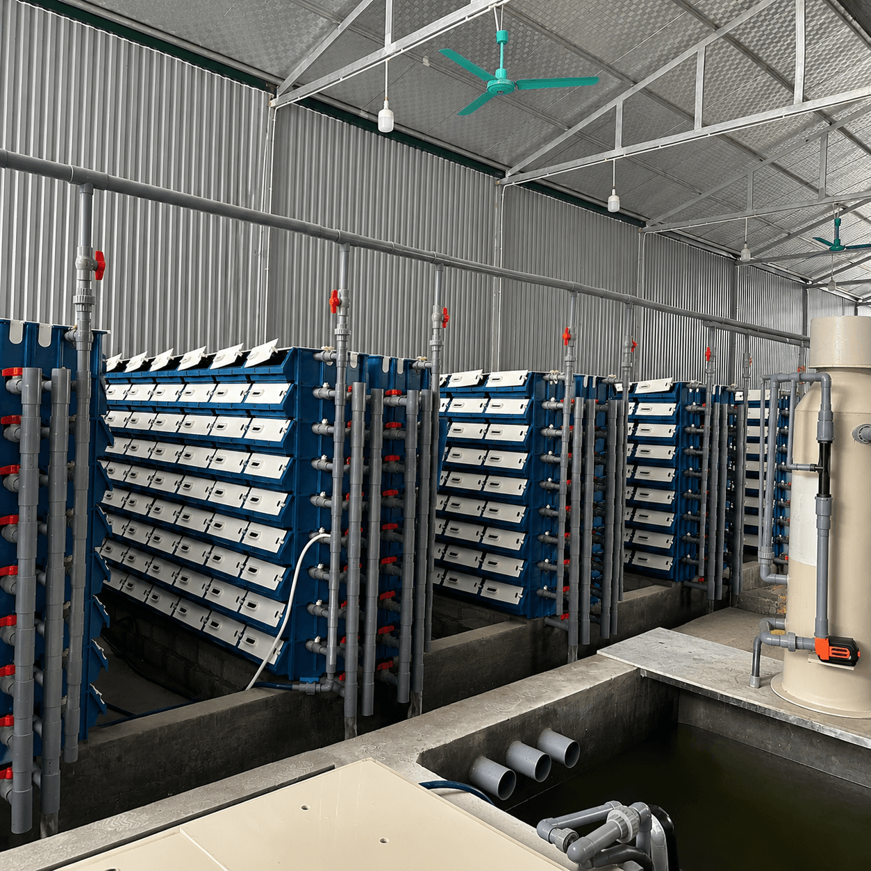 Đầu Tư Hệ Thống RAS – Tăng Doanh Thu Vượt Trội